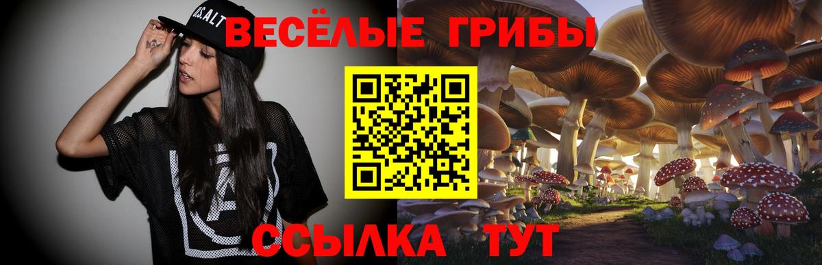 Галлюциногенные грибы GOLDEN TEACHER  Вход с VPN  Батайск 